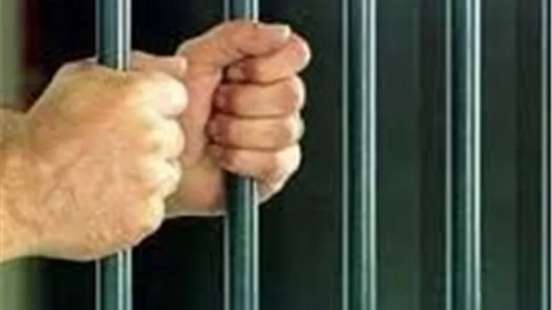 بعد ضبطه.. قرار بشأن لص الهواتف بالغربية|تفاصيل 
