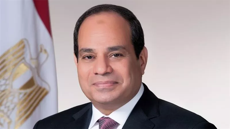 الرئيس السيسي يبحث مع سكرتير عام «إيكاو» تطوير قطاع الطيران المدني 