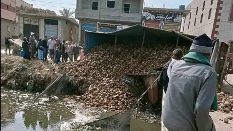 حمولة زائدة.. انقلاب مقطورة ثقيلة تحمل بنجر السكر بالشرقية