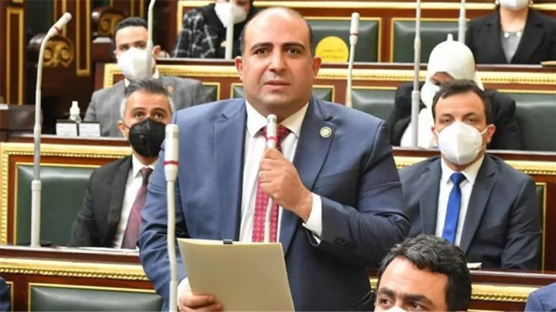 النائب محمد سليم يطالب بإطار تشريعي لتنظيم السناتر والدروس الخصوصية