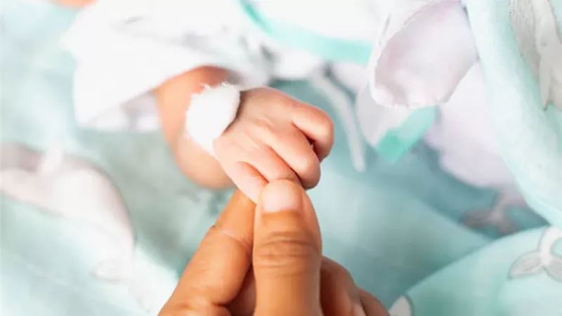 المدة القانونية للإبلاغ عن المواليد الجدد في قانون الأحوال المدنية