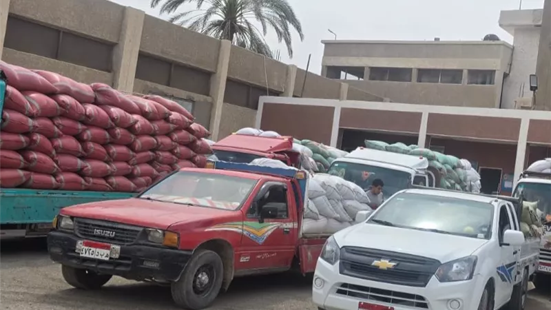 توريد 5801 طن قمح وتجهيز 15 موقعاً لاستقبال المحصول بسوهاج