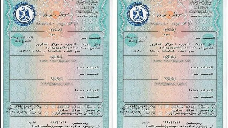 تعرف على كيفية استخراج شهادة ميلاد مصرية لمواليد الخارج