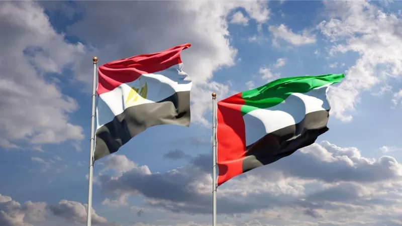 «أمنها من أمننا».. مصر تُدين المخطط الإرهابي في الإمارات 