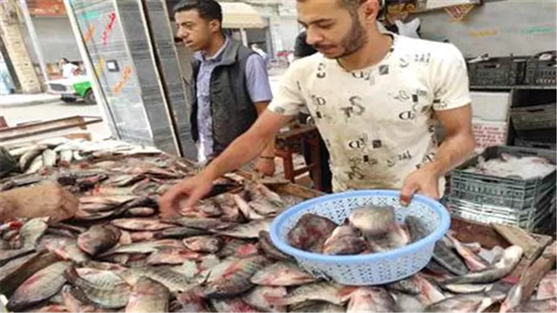 البوري يبدأ بـ 120 جنيها.. أسعار الأسماك في المنيا اليوم الثلاثاء 21 أبريل