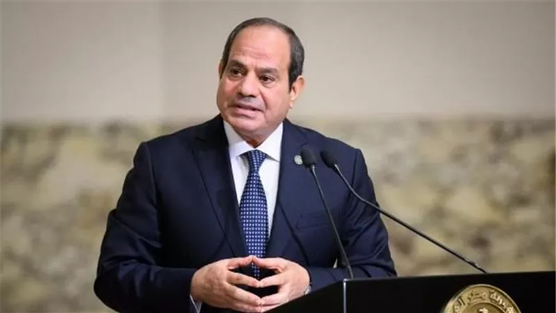 الرئيس السيسي ونظيره الفنلندي يتفقان على ضرورة تعزيز التعاون|فيديو 