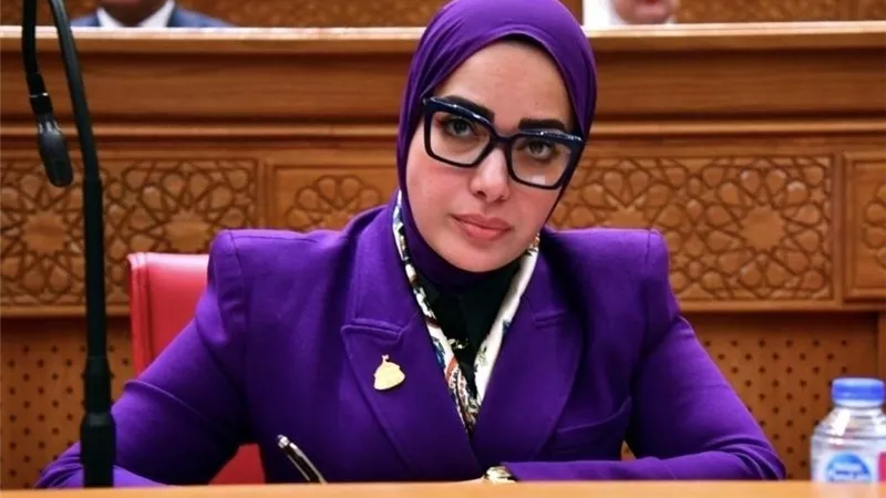 آية عبد الرحمن تطالب بتغليظ عقوبات تزوير الكتب إلى مليون جنيه وسجن 3 سنوات