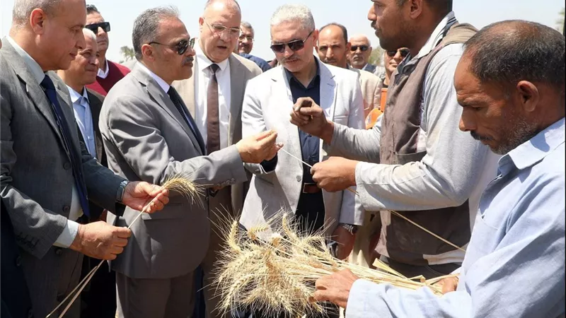 سنابل الخير.. محافظ الشرقية يشهد موسم حصاد القمح بأحد الحقول الزراعية|صور