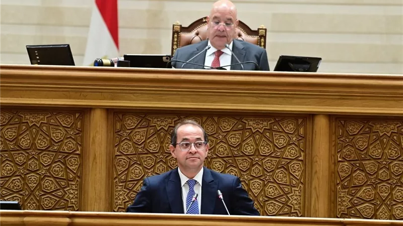 وزير المالية: نستهدف خفض العجز الكلي لـ5% وزيادة معدل نمو الأجور 10%
