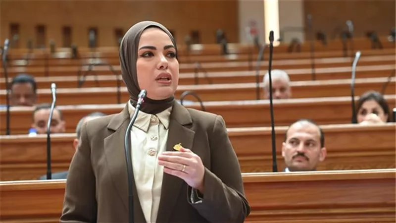 آية عبد الرحمن تتقدم بمشروع قانون لتغليظ عقوبة الاعتداء على الوالدين