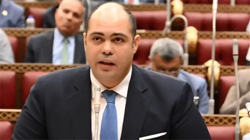 «حماية المنافسة»: التنسيق مع الرقابة المالية يحسم مصير التركزات الاقتصادية