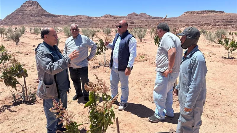 خبراء مركز بحوث الصحراء يدعمون مزارعي سانت كاترين لمواجهة آثار السيول 