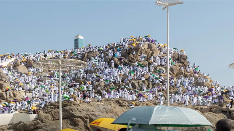 أمين الفتوى: الصدقة تُقدَّم على حج التطوع في هذه الحالة