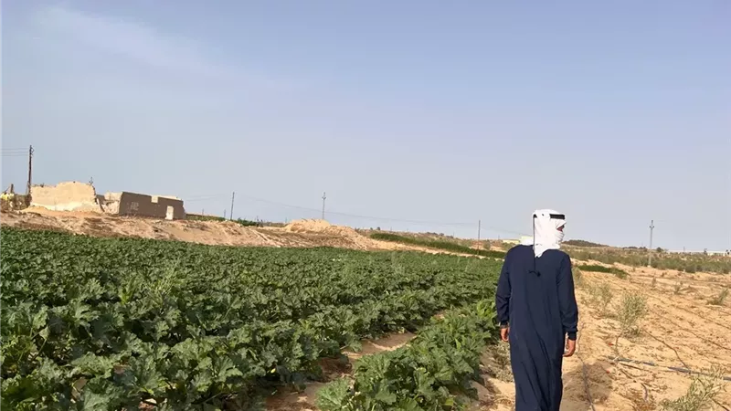 في الذكرى الـ44 لتحرير سيناء.. تمكين وتنمية مستمرة لدعم أهالينا في سيناء