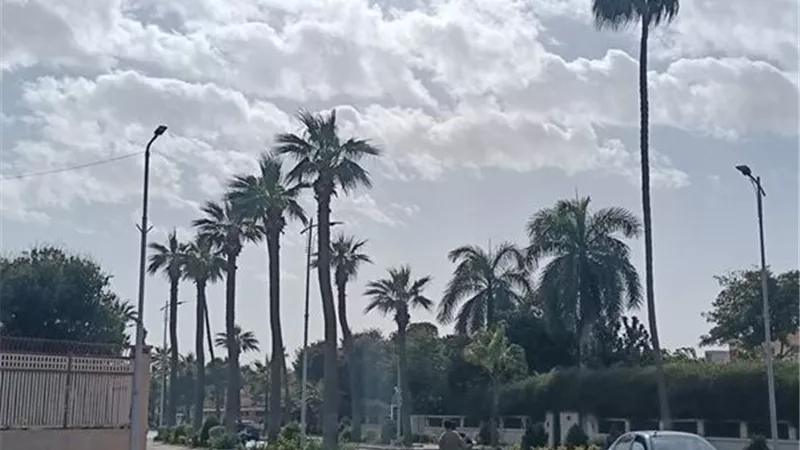  طقس مشمس وارتفاع ملحوظ في درجات الحرارة بالإسماعيلية اليوم 