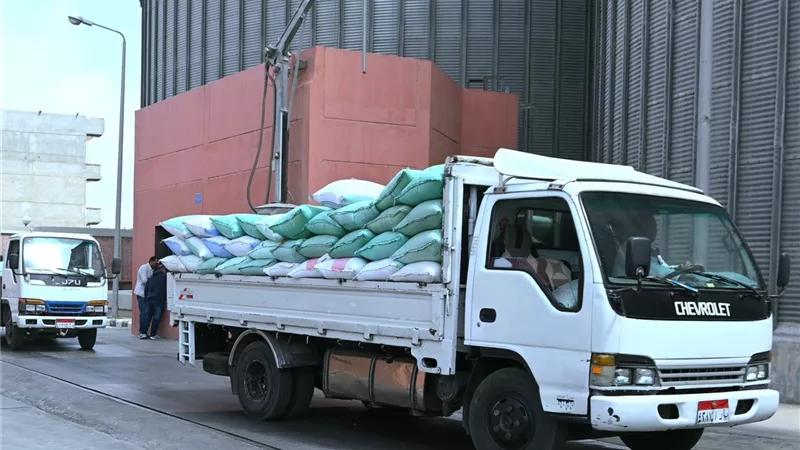 محافظ البحيرة: استلام 5198 طن قمح بـ39 صومعة وشونة منذ بدء الموسم