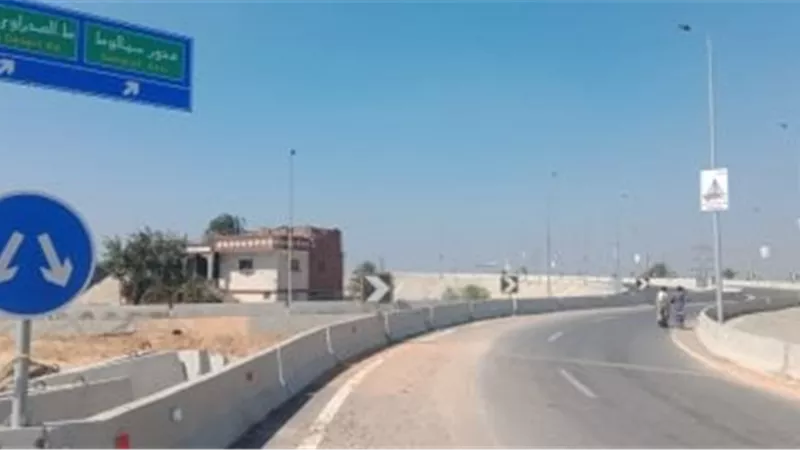 المنيا 