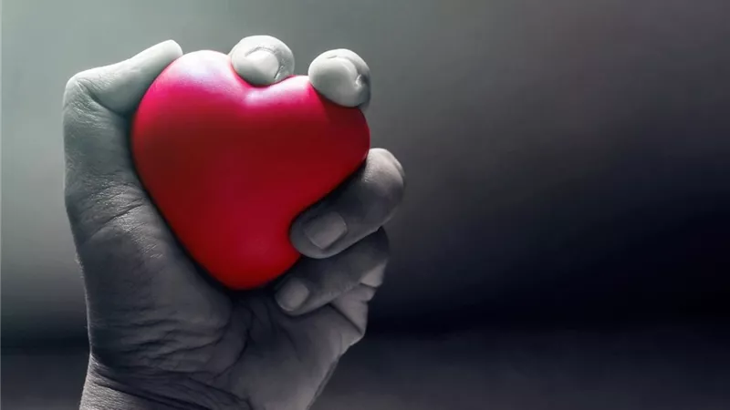 خل التفاح الأبرز.. أطعمة تحافظ على صحة القلب 
