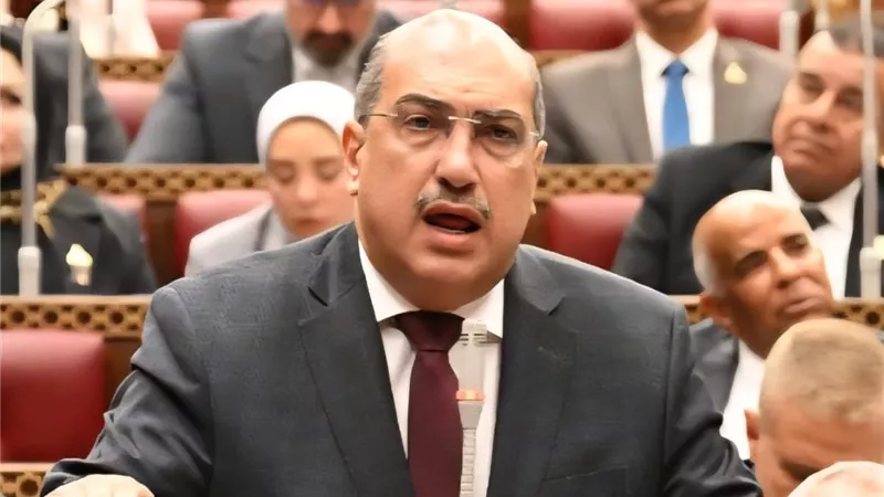إيهاب وهبة يطالب بحظر إعلانات المراهنات في الاستادات وغلق تطبيقاتها فوراً