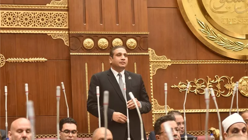 عماد خليل لوزارة الرياضة: استعدوا لـ2028 من الآن عبر تطوير مراكز الشباب