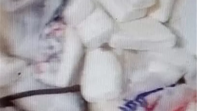ضبط مصنع جبنة غير مرخص والتحفظ على 3 أطنان فاسدة في حملة تموينية ببني سويف