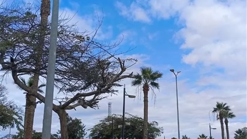 طقس مائل للحرارة نهارا وبارد ليلا بالإسماعيلية اليوم الإثنين