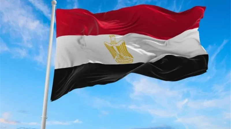مصر تدين الهجمات الإرهابية في مالي