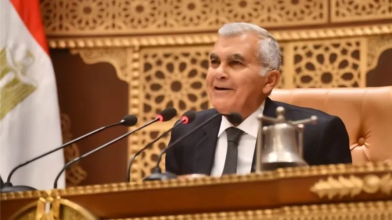 «الشيوخ» يوافق على الحساب الختامي للمجلس عن العام المالي 2024-2025