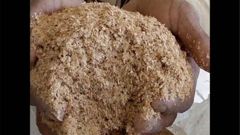 غلاء التبن يرهق مزارعي القمح في المنيا ويهدد دورة الإنتاج الزراعي