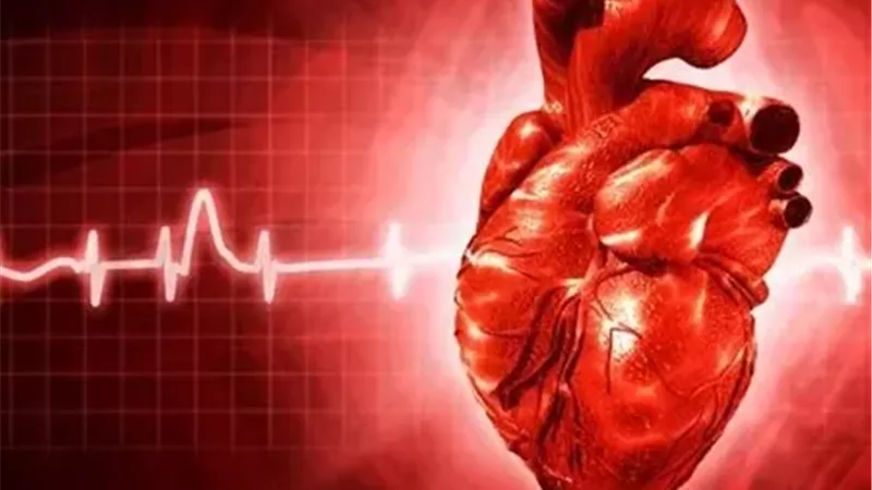 دراسة صادمة.. 3 عادات غذائية تقف وراء ملايين الوفيات بأمراض القلب