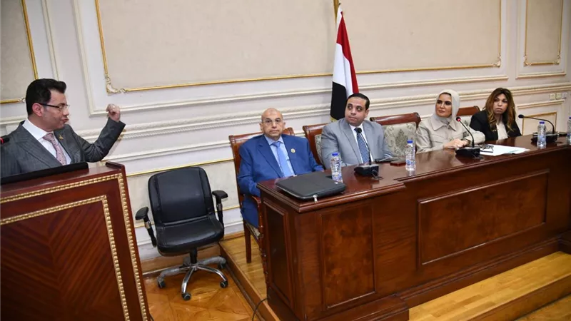 «اقتصادية الشيوخ» تطالب بإصدار اللائحة التنفيذية لقانون التخطيط العام للدولة