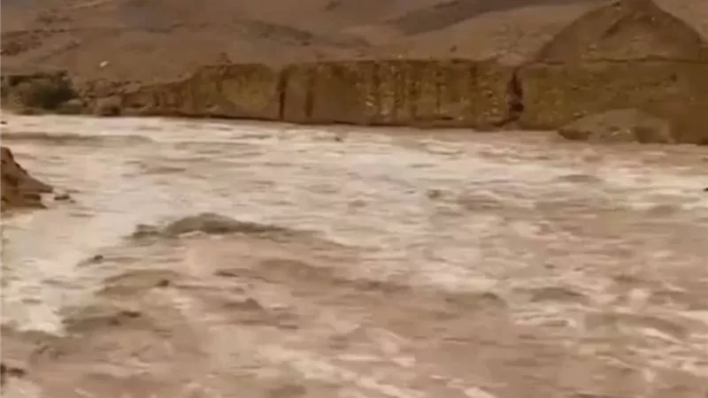 الري  يوجه باستمرار المرور والتنسيق مع الجهات المعنية ومتابعة السيول