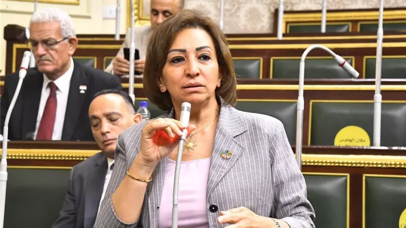 خطة برلمانية لتعظيم الاستفادة من الثروة العقارية غير المستغلة