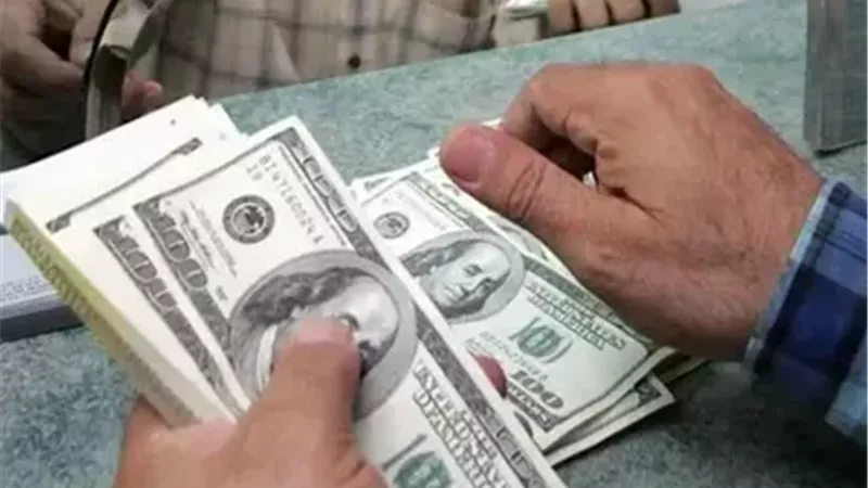 استقرار الدولار أمام الجنيه المصري في بداية تعاملات الثلاثاء