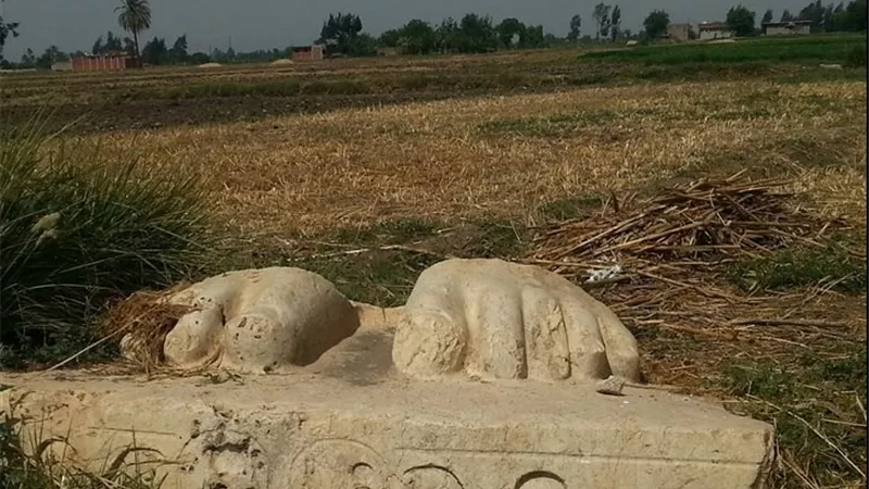 بين مزارعها ومصانعها وخيولها..الشرقية ترسم لوحة 