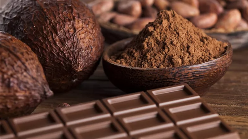 بسبب المناخ.. مستقبل الشوكولاتة في خطر