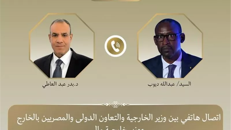 وزير الخارجية يبحث مع نظيره المالي جهود مكافحة الإرهاب في منطقة الساحل