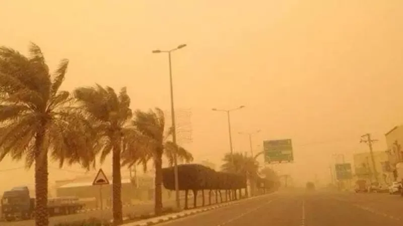 بسبب التقلبات الجوية.. عاصفة ترابية تضرب المنيا و