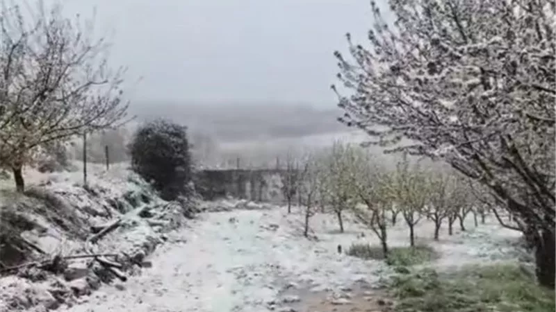 الثلوج تتحدى نيران جيش الاحتلال الإسرائيلي في لبنان