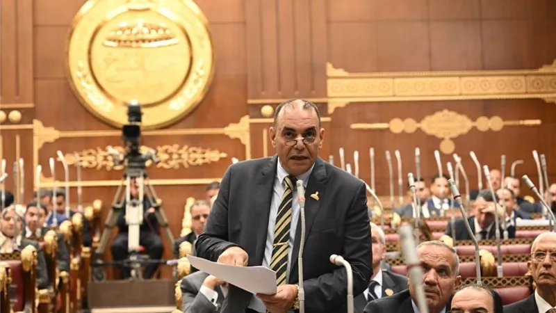 رجائي عزت: توجيهات الرئيس تعيد ضبط الأسواق وتواجه الاحتكار بحسم