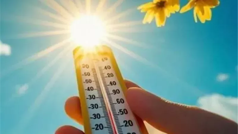 بين الاعتدال والبرودة.. تعرف على حالة الطقس بالإسماعيلية اليوم الثلاثاء