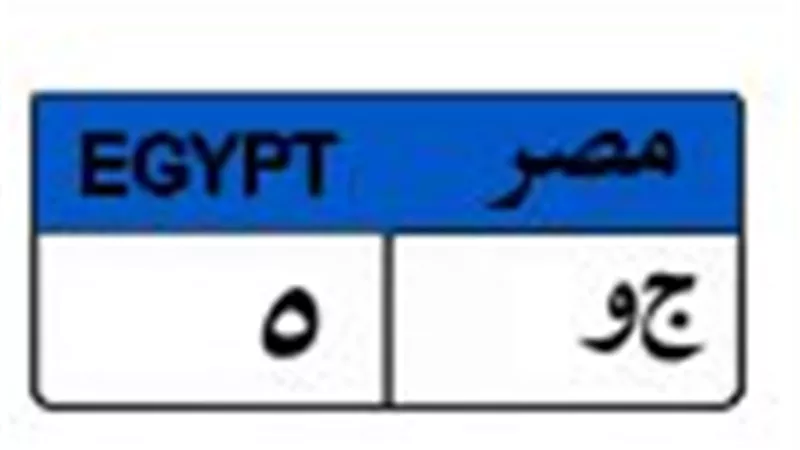 وصلت لـ 650 ألف جنيه..لوحة 