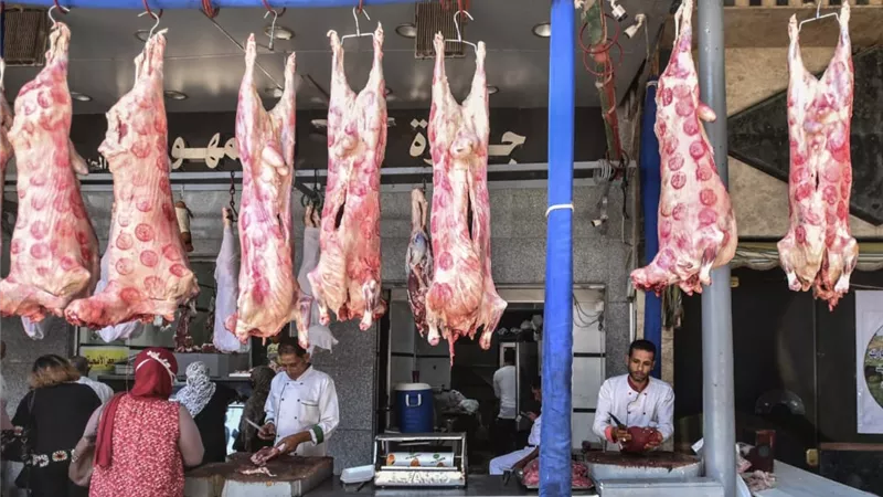 الضانى بـ 400جنيه.. أسعار اللحوم بأنواعها اليوم في المنيا الأربعاء 6 مايو 