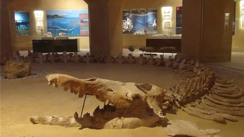إدراج وادي الحيتان ضمن القائمة الخضراء للاتحاد الدولي لحماية الطبيعة|صور