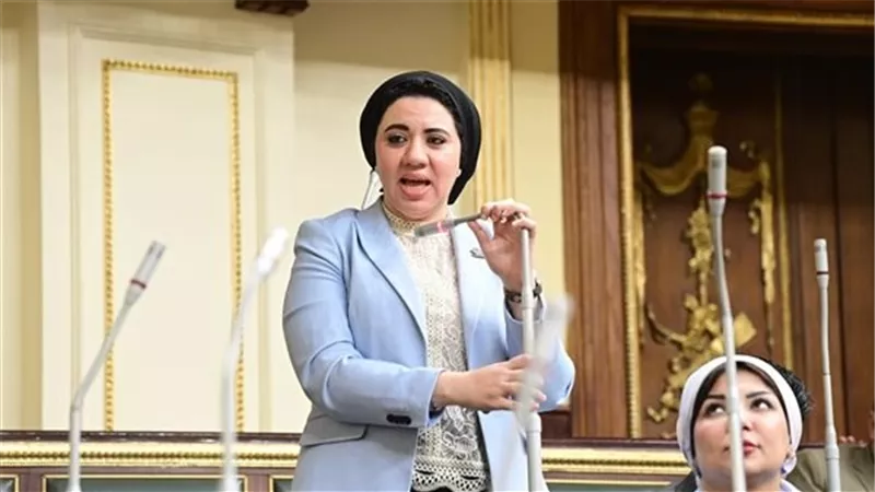 النائبة أميرة صابر تقترح إنشاء معرض الذاكرة الرقمية للآثار المنهوبة