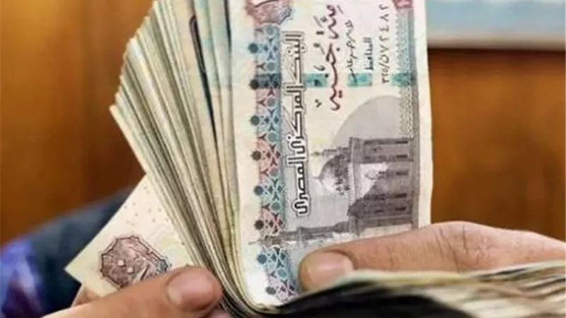  العمل تحذر من صفحات تستغل المواطنين باسم منحة العمالة غير المنتظمة|فيديو