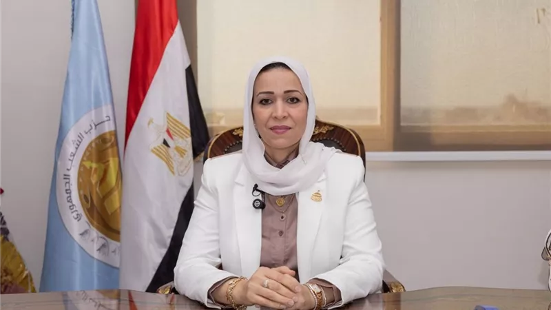 برلمانية: زيارة السيسي للإمارات تعزز التحالف العربي ودور مصر الاستقراري