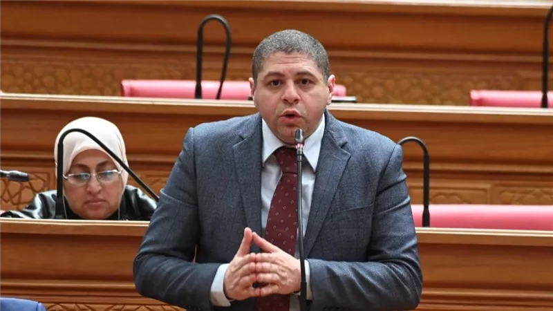أحمد جبيلي: مصر مركز إقليمي جاذب للاستثمار والتعليم