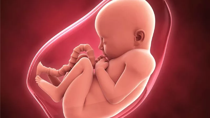أطعمة تدعم نمو دماغ الجنين خلال الحمل.. الأسماك الأبرز