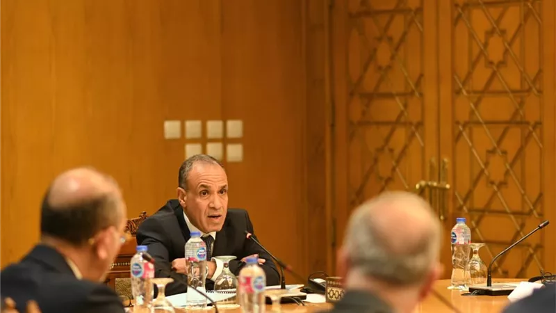 وزير الخارجية يؤكد أهمية منصة حافز في دعم الشركات المصرية وتعزيز تنافسيتها
